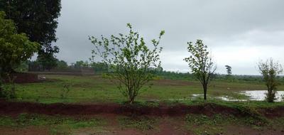 Residential Plot