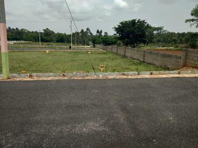 Residential Plot