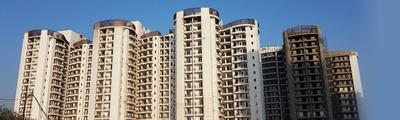 Gallery Cover Image of 1600 Sq.ft 3 BHK Apartment for buy in BPTP Discovery Park, Sector 80 for 7500000