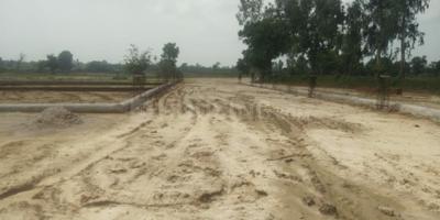 Gallery Cover Image of Sq.ft Residential Plot for buy in Gomti Nagar for 649000