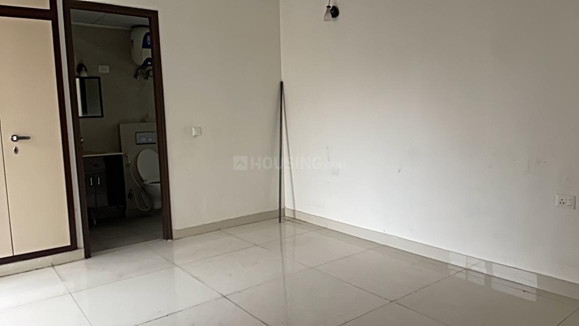 AIG Aigin Royal - Image 8