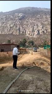Residential 2000 Sqft Plot for sale at Rajgir, Nalanda | Property ...