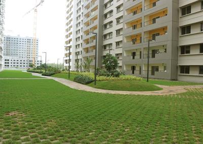 1 BHK Apartment
