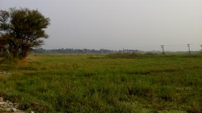 Residential Plot