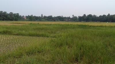 Gallery Cover Image of Sq.ft Residential Plot for buy in Joka for 155000