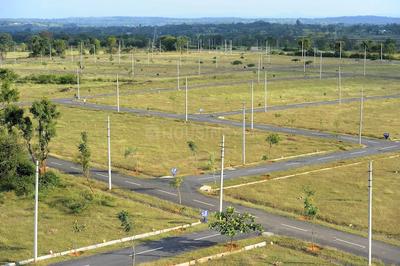 Gallery Cover Image of Sq.ft Residential Plot for buy in Alanahalli Village for 1600000