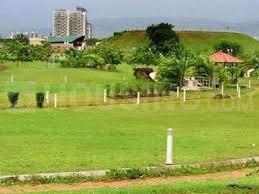 Residential Plot