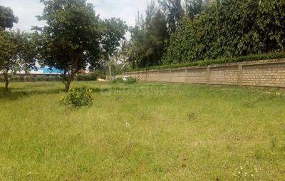 Gallery Cover Image of Sq.ft Residential Plot for buy in Ghitorni for 440000000