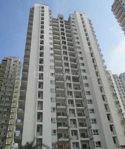 1 RK Apartment