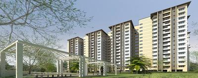 3 BHK Apartment