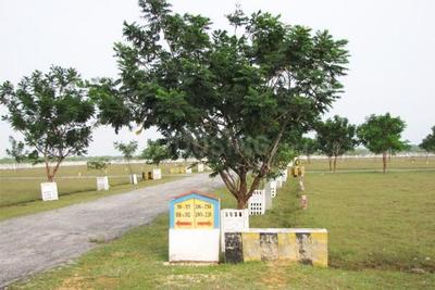 Residential Plot