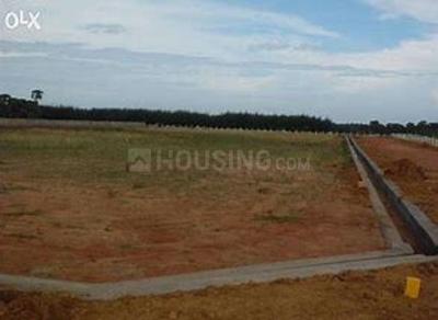 Residential Plot