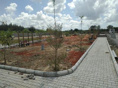 Residential Plot