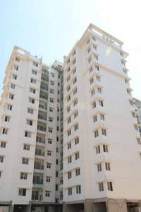 3 BHK Apartment