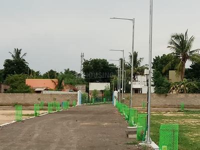 Residential Plot