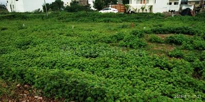 Gallery Cover Image of Sq.ft Residential Plot for buy in Vasant Vihar for 3500000