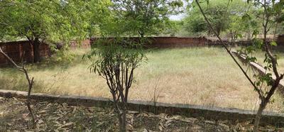 Gallery Cover Image of Sq.ft Residential Plot for buy in Manipur for 4000000