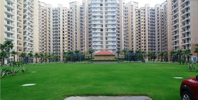 3 BHK Apartment
