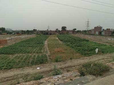 Residential Plot