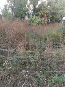 600 Sq.ft Residential Plot for Sale in Loharkadi Upper Sudher, Dharamsala