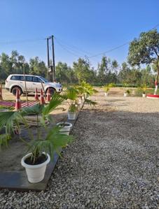Residential 1000 Sqft Plot for sale at Rajgir, Nalanda | Property ...