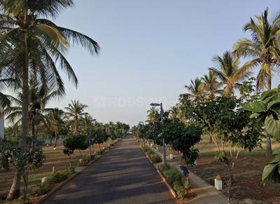 Residential Plot