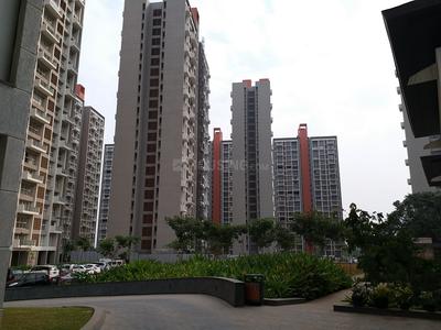 3 BHK Apartment