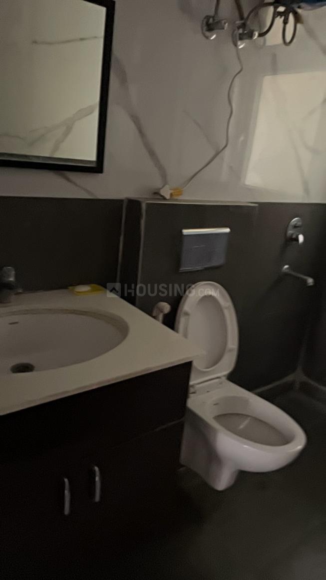 AIG Aigin Royal - Image 13