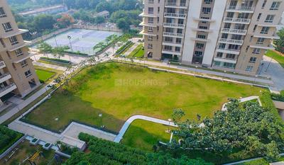 3 BHK Apartment