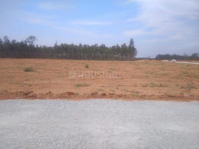 Residential Plot