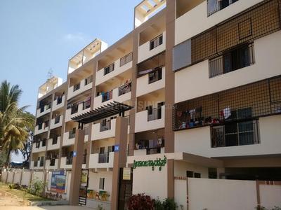 3 BHK Apartment