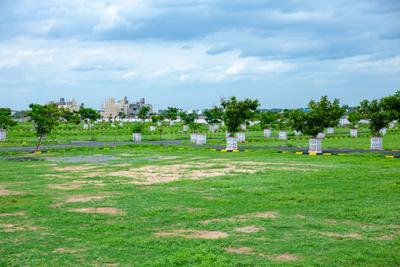Residential Plot