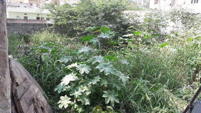 Gallery Cover Image of Sq.ft Residential Plot for buy in Nacharam for 11183000