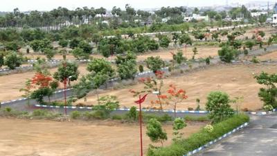 Residential Plot