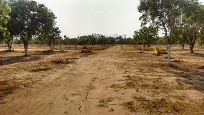 Gallery Cover Image of Sq.ft Residential Plot for buy in Christurajupuram for 525000