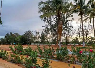 Gallery Cover Image of Sq.ft Residential Plot for buy in Devanahalli for 7440000