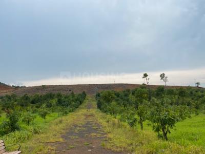 Residential Plot