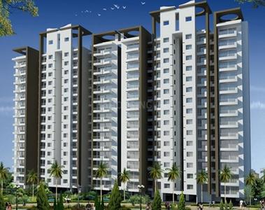 3 BHK Apartment
