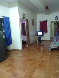 1 BHK Apartment
