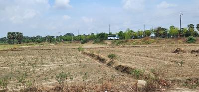 Residential 1200 Sqft Plot for sale at Rajgir, Nalanda | Property ...
