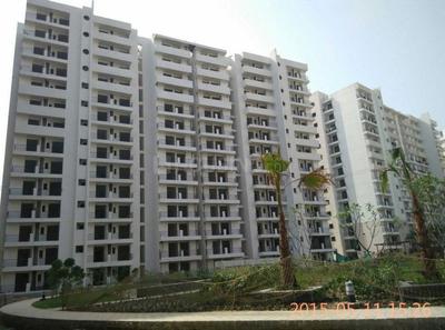 3 BHK Apartment