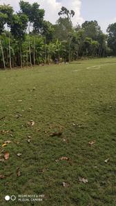 Residential Plot