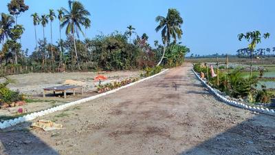 Gallery Cover Image of Sq.ft Residential Plot for buy in Shyamnagar for 1500000
