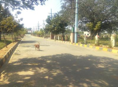 Residential Plot