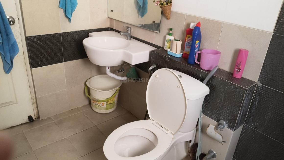 ATS Dolce - Image 14