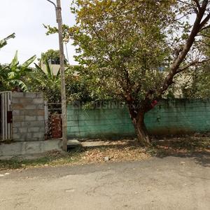 Residential Plot