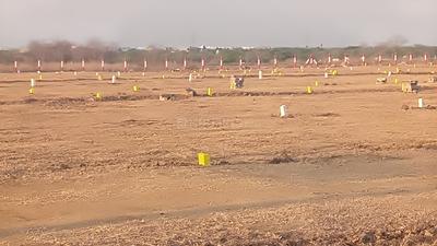 Residential Plot