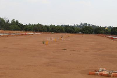 Residential Plot