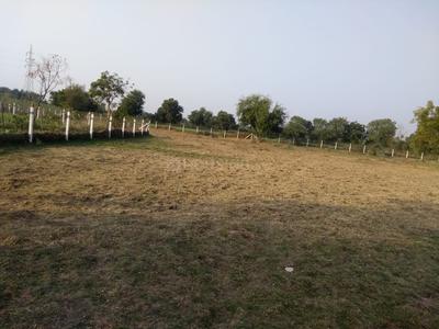 Gallery Cover Image of Sq.ft Residential Plot for buy in Waghodia for 300000