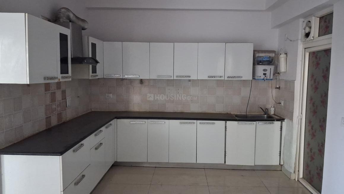 Saya Zion - Image 16